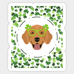 Saint Patrick's Day with Golden Retriever with Glasses and Shamrock Sticker